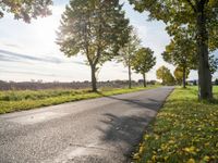 Lush Green Landscape in Berlin, Germany with Clear Sky