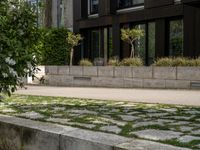 a bench with plants and trees in front of an apartment block near a sidewalk and a street