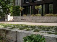 a bench with plants and trees in front of an apartment block near a sidewalk and a street