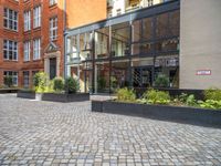 an empty parking lot with plants in the ground and on the side of the building, there is an enclosed area and windows