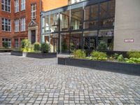 an empty parking lot with plants in the ground and on the side of the building, there is an enclosed area and windows