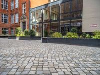 an empty parking lot with plants in the ground and on the side of the building, there is an enclosed area and windows