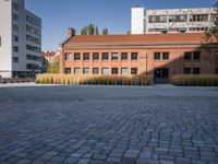 a paved parking lot in front of two buildings with red brick roofs on either side and tall grass growing in the middle