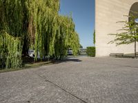 a walkway lined with trees alongside of a building with a tall white wall on it