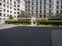 a small paved courtyard in front of some white buildings with green hedges and trees on both sides