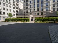 a small paved courtyard in front of some white buildings with green hedges and trees on both sides