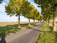 an empty road in a green field surrounded by trees, with blue skies above it