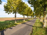 an empty road in a green field surrounded by trees, with blue skies above it