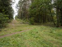 Nature Walk in Berlin, Germany: A Vibrant Autumn Experience