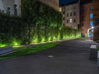 lights illuminate a row of bushes and a path in between the two buildings