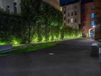 lights illuminate a row of bushes and a path in between the two buildings