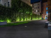 lights illuminate a row of bushes and a path in between the two buildings