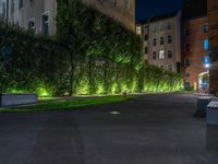 lights illuminate a row of bushes and a path in between the two buildings