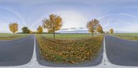 four panoramas of a road in a field near a field with grass and trees