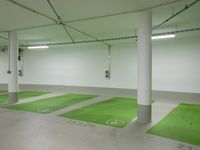 this is an image of a green garage area with white painted walls and concrete floors