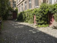 Picturesque Neighborhood in Berlin, Germany