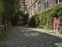 Picturesque Neighborhood in Berlin, Germany