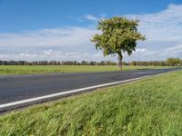 Picturesque Rural Landscape in Berlin, Germany (002)