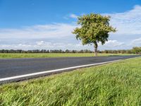 Berlin, Germany - Picturesque Rural Landscape 003