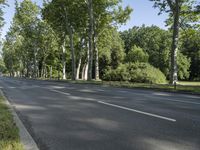 Recreational Park with Vegetation in Berlin, Germany