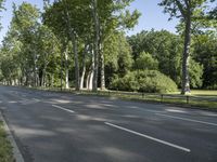 Recreational Park with Vegetation in Berlin, Germany