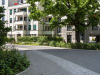 a stone street in front of a tall building with many plants around it and several bushes outside