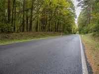 Berlin Germany Road Forest Landscape