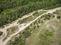 Berlin, Germany: Road, Sand, Forest 001