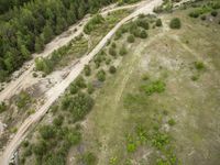 Road through Sand Forest in Berlin, Germany