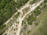 Berlin Germany Road through Sand Forest