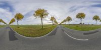 a road going through a field with trees on the sides of it and clouds overhead