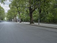 an empty road with lots of parked cars on it and trees lining the sides of both sides of the street