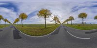 an asphalt road is parallel with some trees at the end of it and green grass