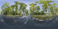 a mirror image shows trees surrounding a park and trees on either side of the road