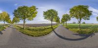 a street with several trees and a large field behind it through a fisheye lens