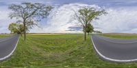 three different photos taken to show a curved road with trees lining it and a field in the background