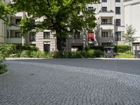 a street corner with trees and a brick road in front of buildings and trees and shrubs