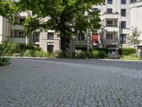 a street corner with trees and a brick road in front of buildings and trees and shrubs