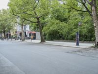 street scene with trees and bicycles in the foreground and cars parked next to buildings