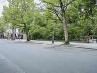 street scene with trees and bicycles in the foreground and cars parked next to buildings