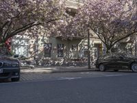 Berlin, Germany: A Street View of City Life