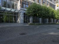 a building with windows next to trees in front of it in the sun in a courtyard