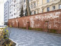 a tall brick wall near some buildings and trees that have been chipped down along a sidewalk