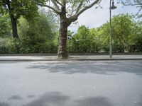 Berlin, Germany: Tree-Lined Road