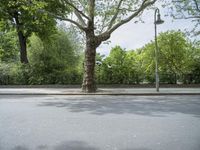 Berlin, Germany: Tree-lined Road 002