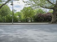 Tree-Lined Road in Berlin, Germany