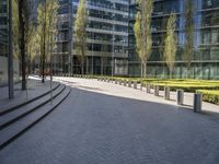 empty stone steps lead to a modern glassy office building and sidewalked area, which is lined with trees and grass