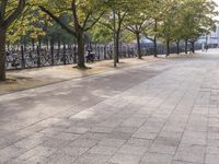 a sidewalk is lined with many trees in the area outside the building with bicycles parked on it