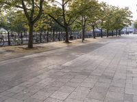 a sidewalk is lined with many trees in the area outside the building with bicycles parked on it