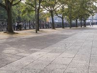 a sidewalk is lined with many trees in the area outside the building with bicycles parked on it